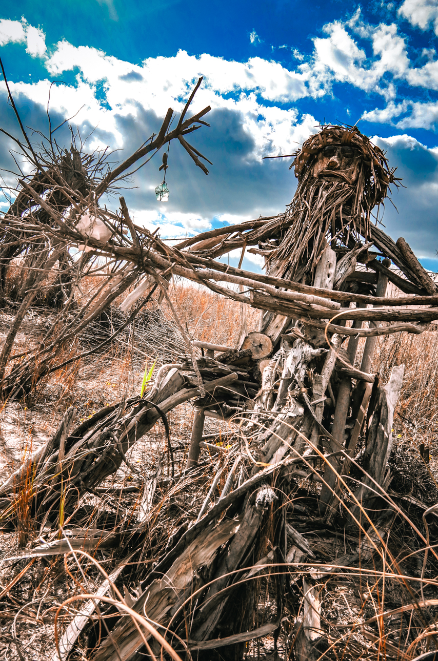 Driftwood Sculptures